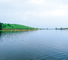 富營養(yǎng)化水體、藍(lán)藻、黑臭水體治理