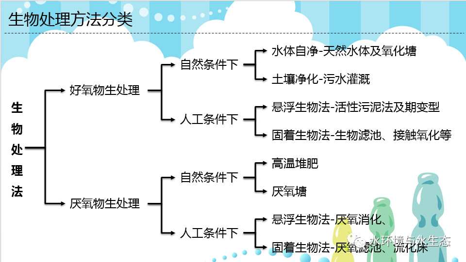 活性污泥法兩大主流技術 | 厭氧生物處理與好氧生物處理的區別