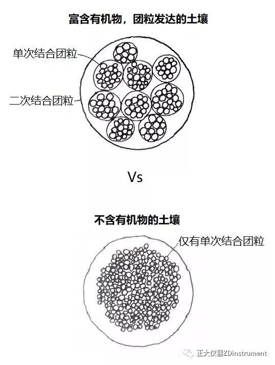 土壤的基礎知識講解