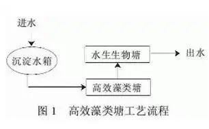 22個農村污水處理技術大全