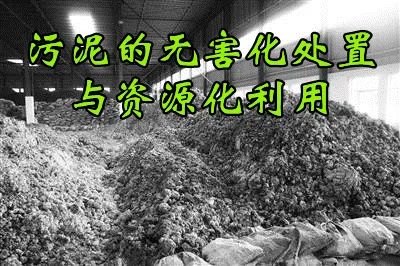 污泥的無害化處置與資源化利用
