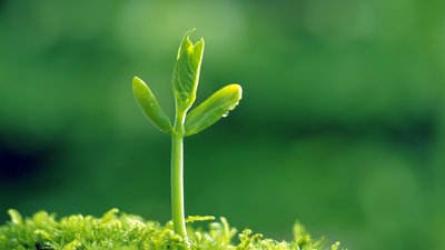 非法處置污泥被罰1000多萬！“蚯蚓污泥案”為何屢上環(huán)保督查“黑名單”？